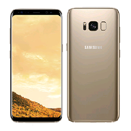 Galaxy S8 Dual-SIM SM-G9500